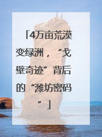 4万亩荒漠变绿洲，“戈壁奇迹”背后的“潍坊密码”