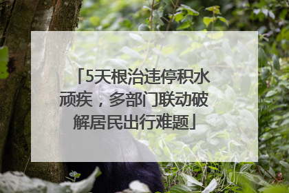 5天根治违停积水顽疾，多部门联动破解居民出行难题