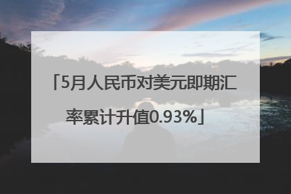 5月人民币对美元即期汇率累计升值0.93%