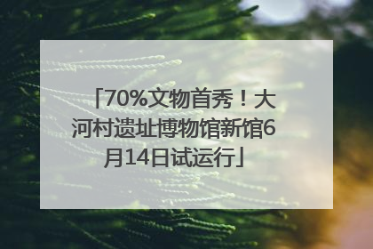 70%文物首秀！大河村遗址博物馆新馆6月14日试运行