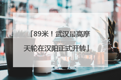 89米！武汉最高摩天轮在汉阳正式开转