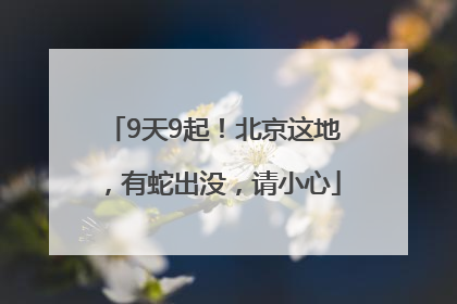 9天9起！北京这地，有蛇出没，请小心