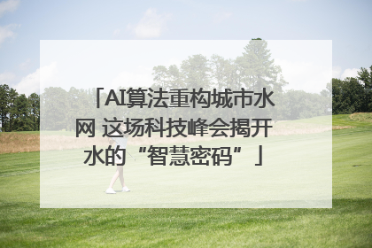 AI算法重构城市水网 这场科技峰会揭开水的“智慧密码”