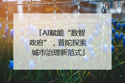 AI赋能“数智政府”，普陀探索城市治理新范式