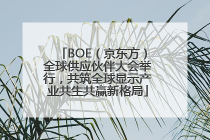 BOE（京东方）全球供应伙伴大会举行，共筑全球显示产业共生共赢新格局
