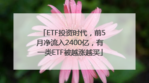 ETF投资时代，前5月净流入2400亿，有一类ETF被越涨越买