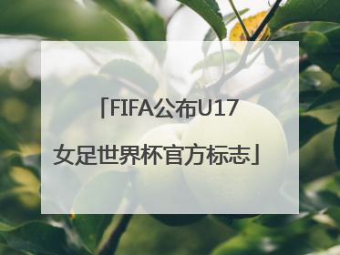 FIFA公布U17女足世界杯官方标志