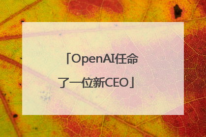OpenAI任命了一位新CEO