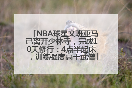 NBA球星文班亚马已离开少林寺，完成10天修行：4点半起床，训练强度高于武僧