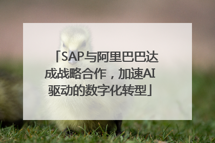 SAP与阿里巴巴达成战略合作，加速AI驱动的数字化转型
