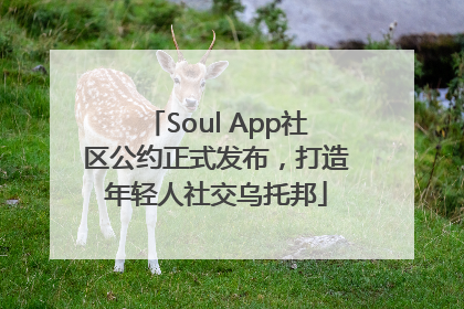Soul App社区公约正式发布，打造年轻人社交乌托邦