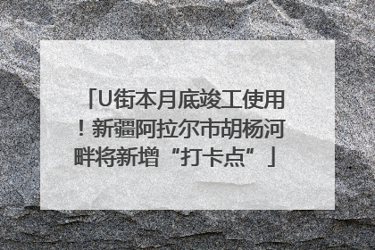 U街本月底竣工使用！新疆阿拉尔市胡杨河畔将新增“打卡点”